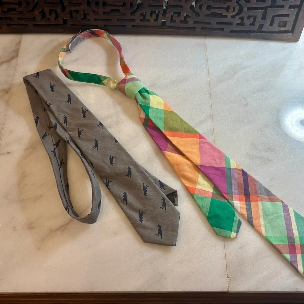 3/$15 Boys Multicolor Plaid and Gray Dino Ties